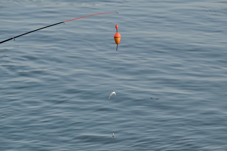 Fishing Gear water ocean photo