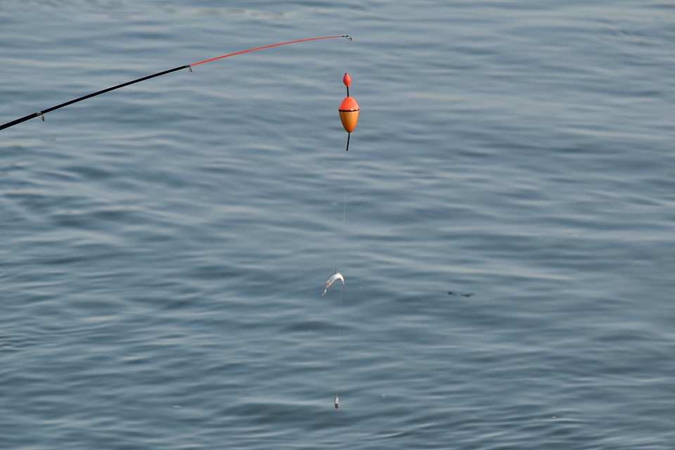 Fishing Gear water ocean