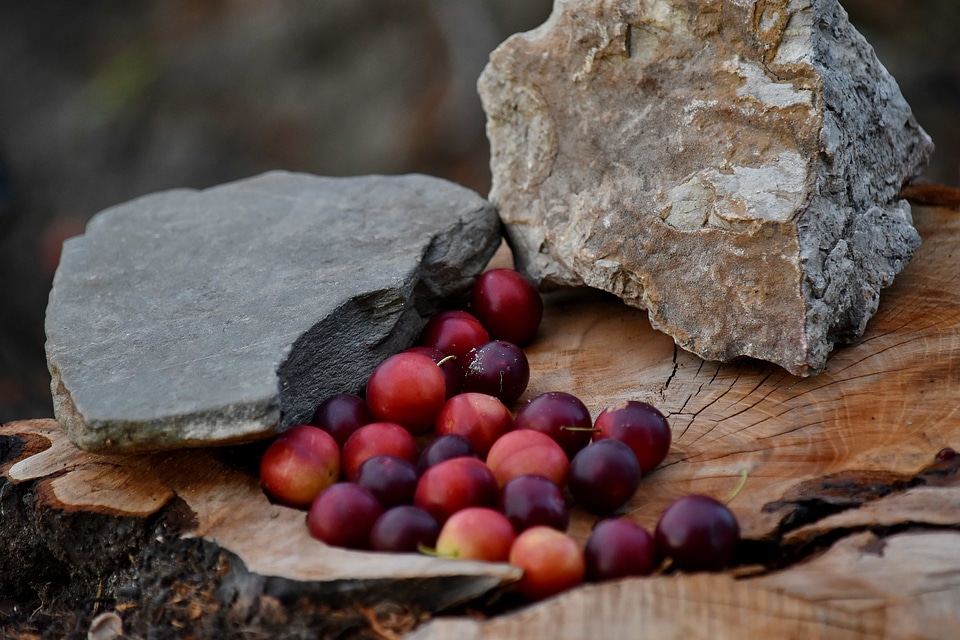 Big Rocks fruit still life