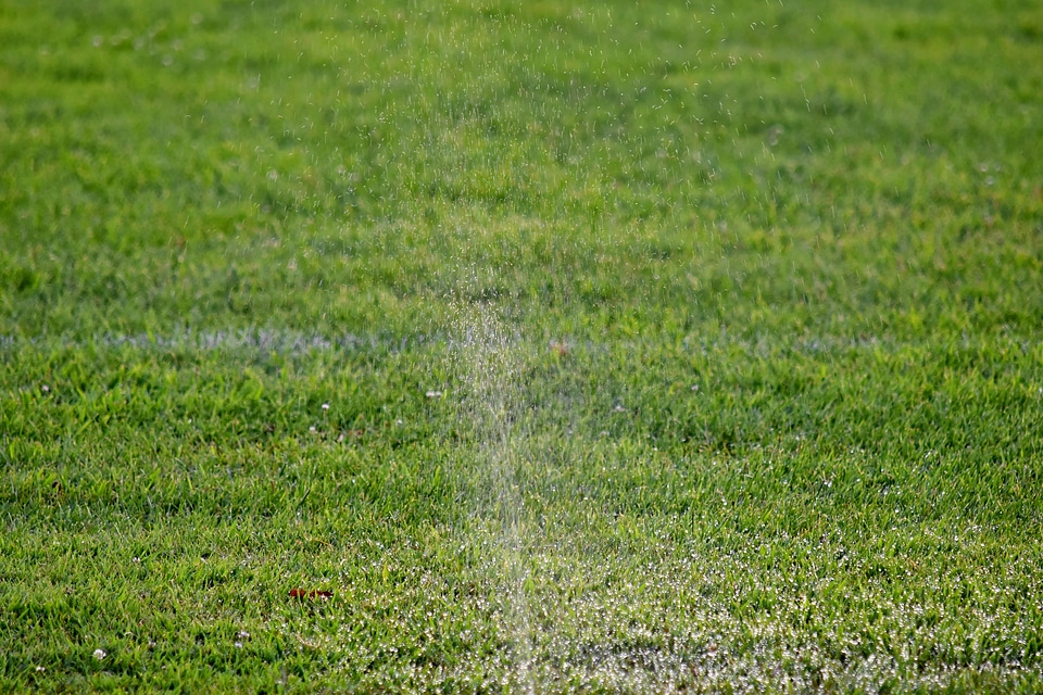 Irrigation water grass