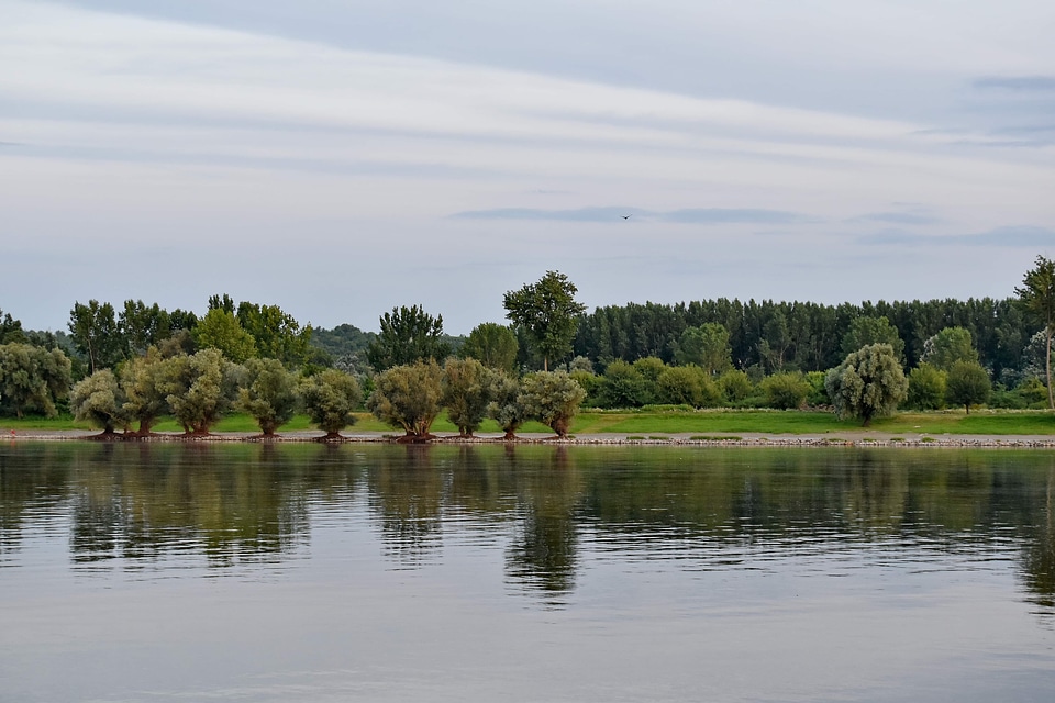 River riverbank landscape photo