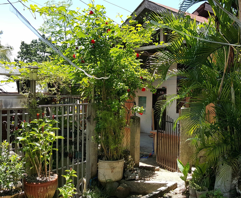 Backyard fence house