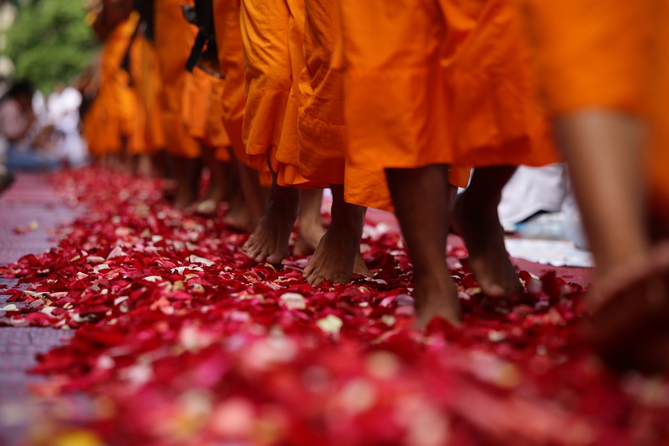 Rose petals feet robes photo