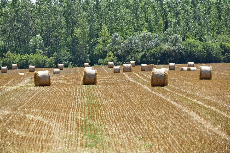 Hay Field haystack agricultural