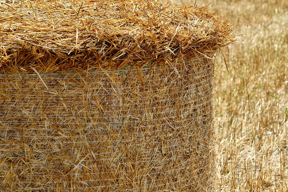 Close-Up hay field summer season