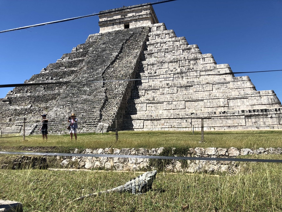 Grass Plants lizard pyramid