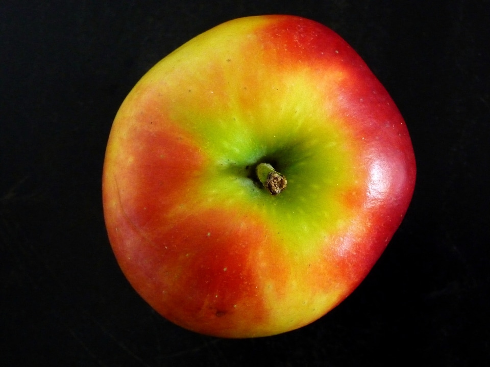 Organic red food