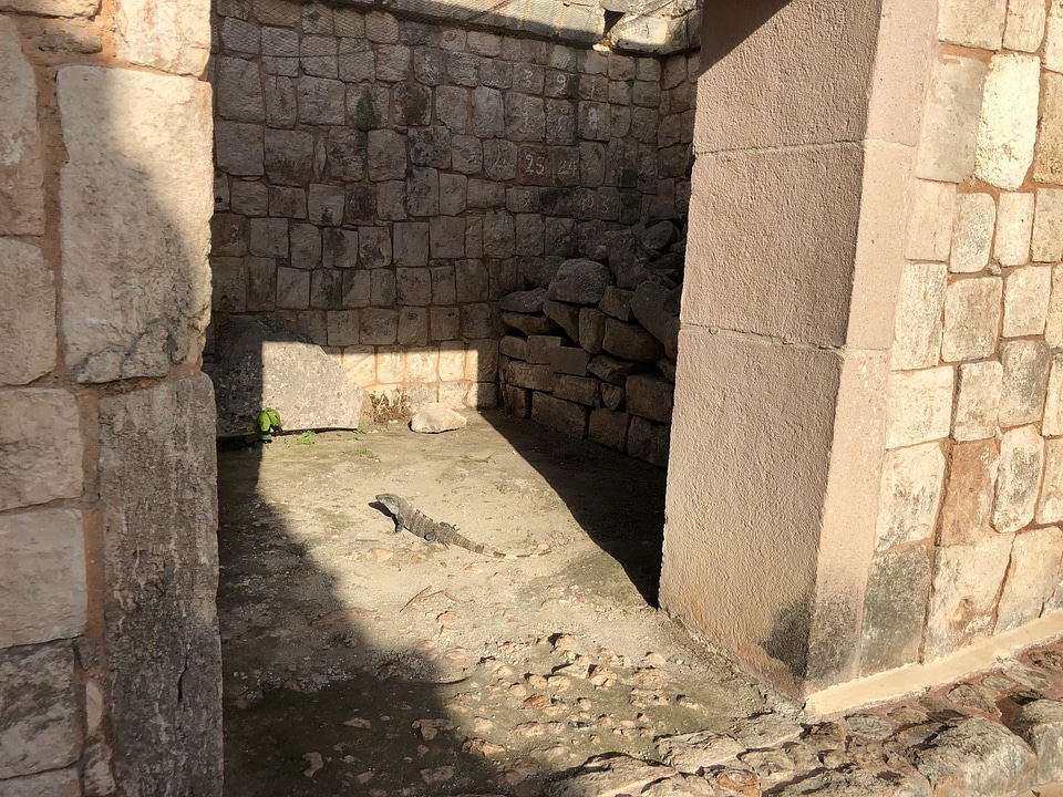 Archaeology front door shadow