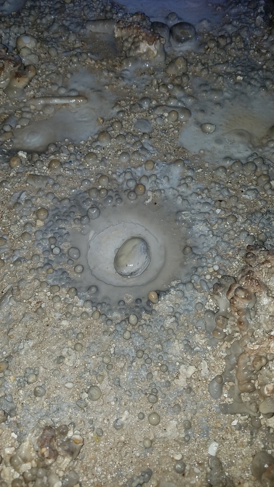Geology ground mud