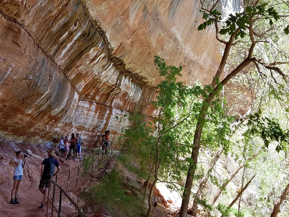 Climbing desert canyon photo