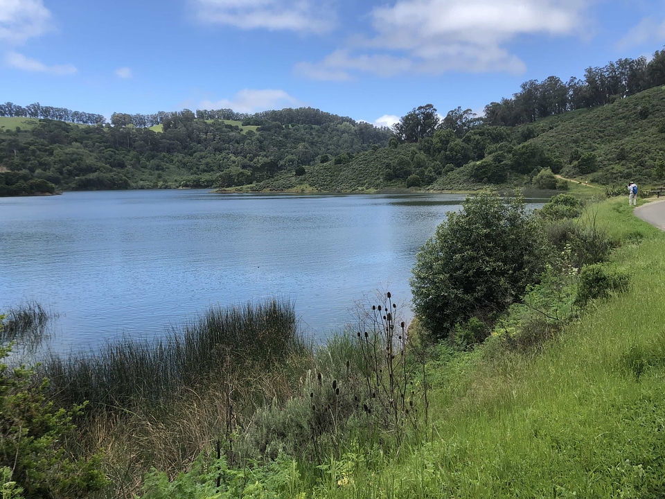 Water landscape shore