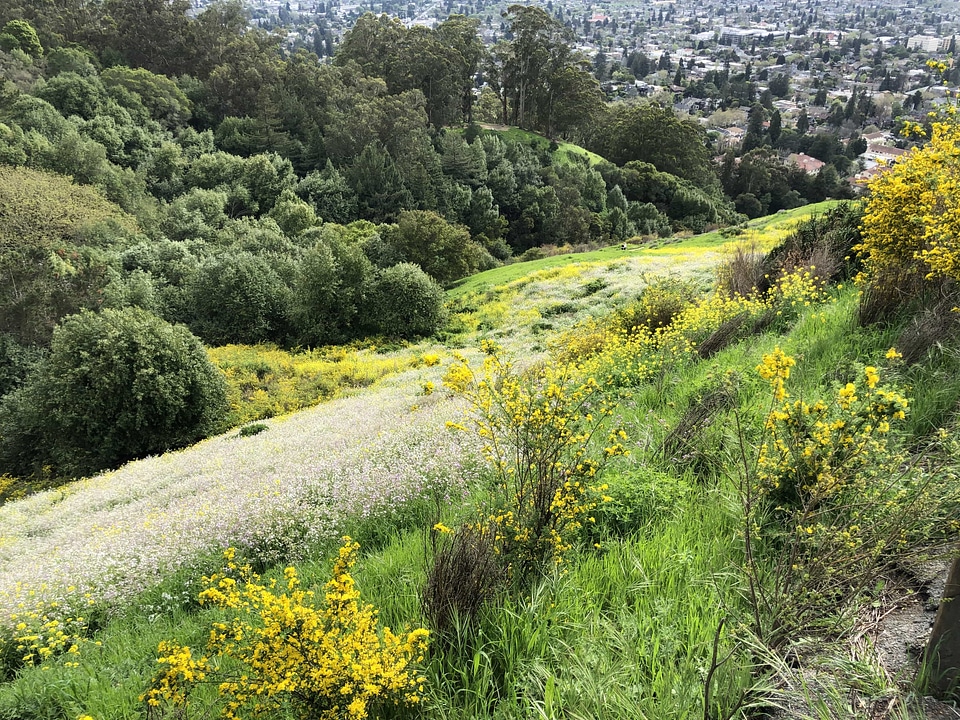 Hilltop panoramic landscape
