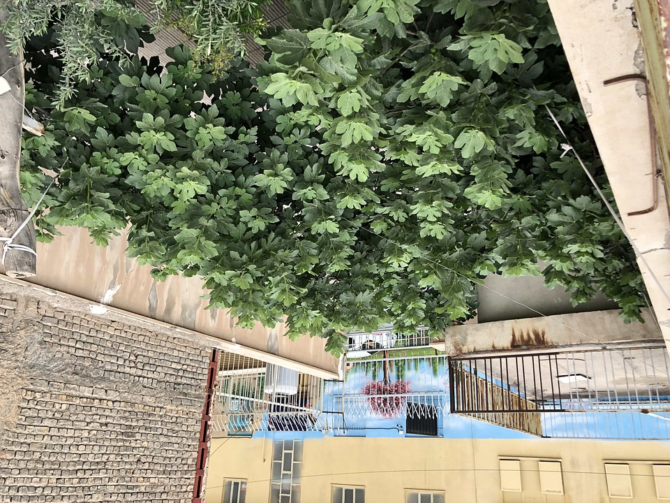 Backyard balcony buildings