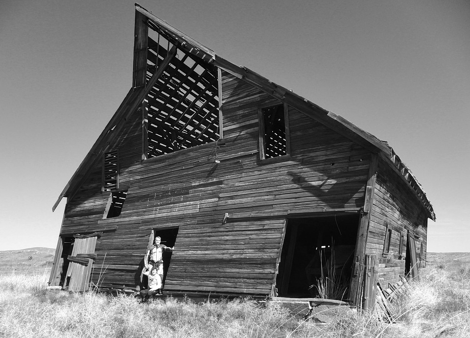 Farm abandoned processed