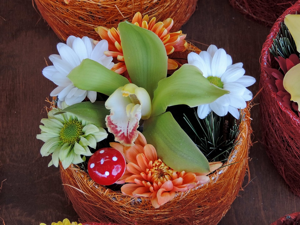 Decoration flowerpot orchid photo