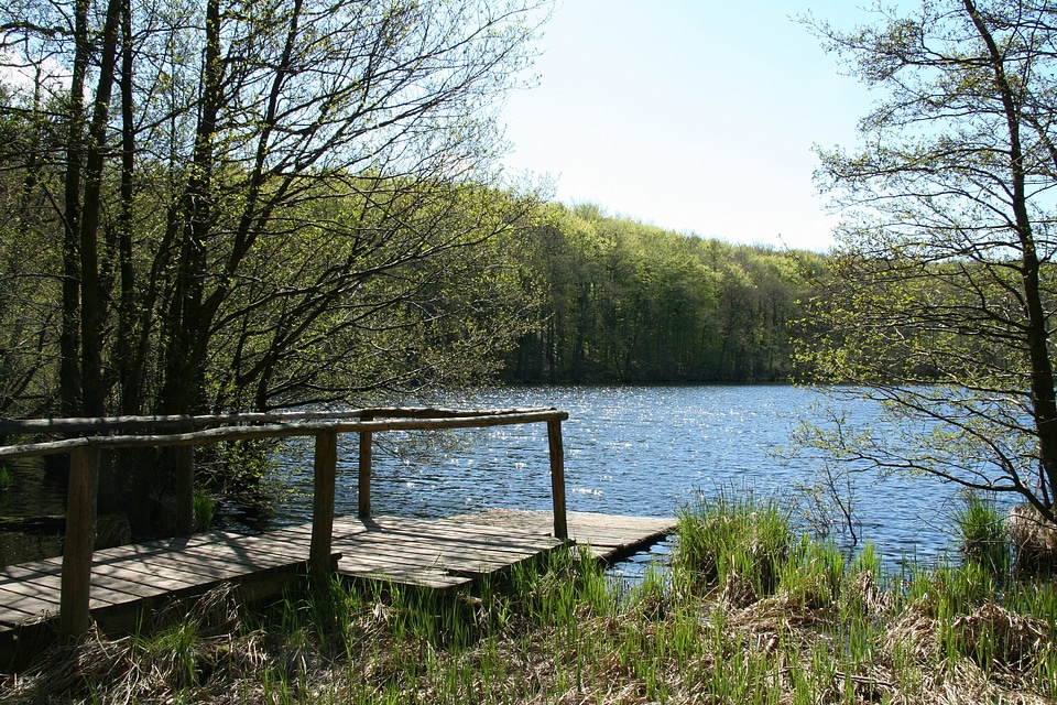 Green lake rügen baltic sea
