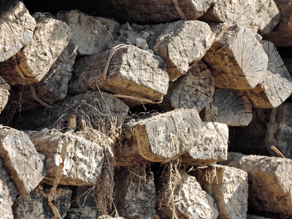 Firewood pile wood