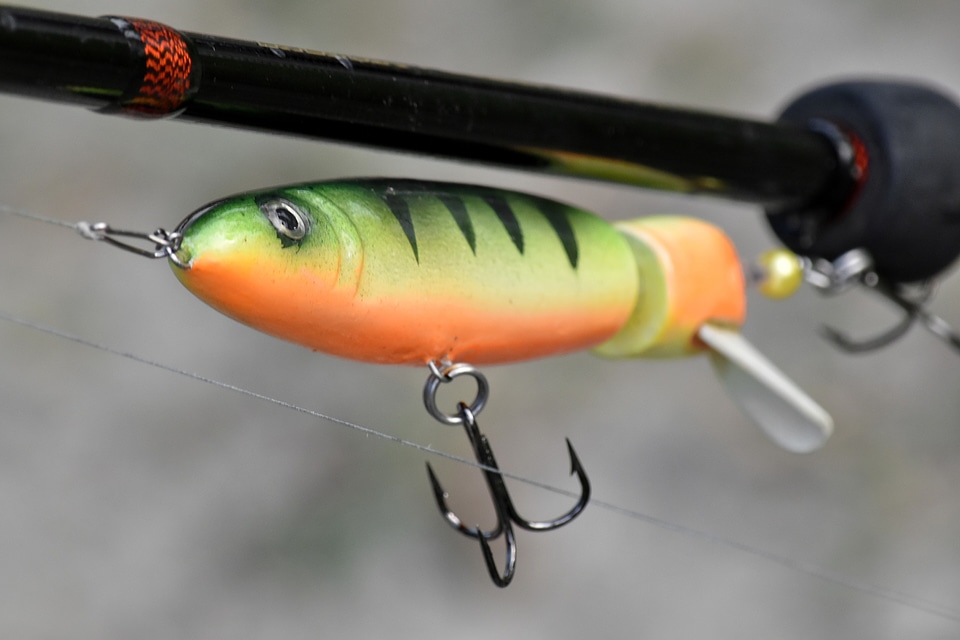 Bait equipment fishing gear