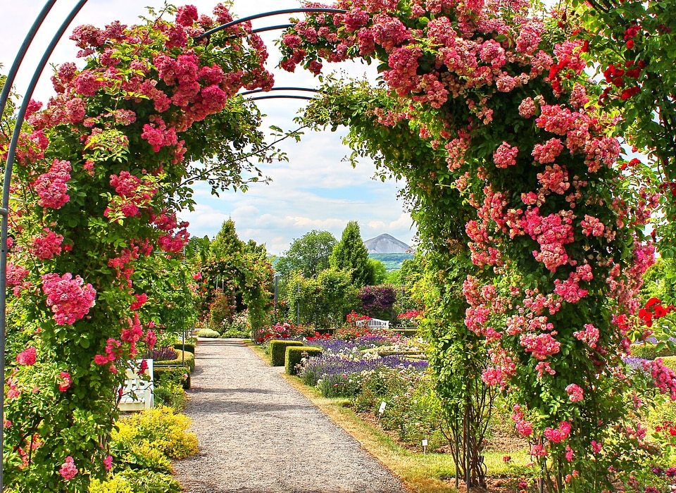 Sangerhausen thuringia germany nature