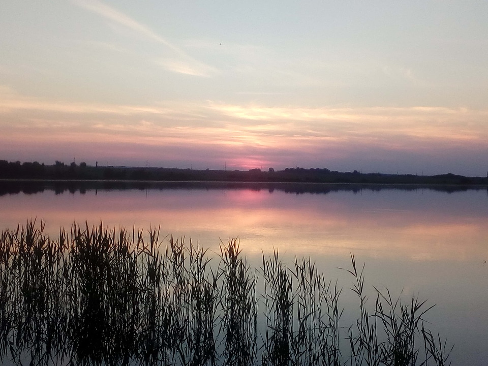 Dawn marshland reflection