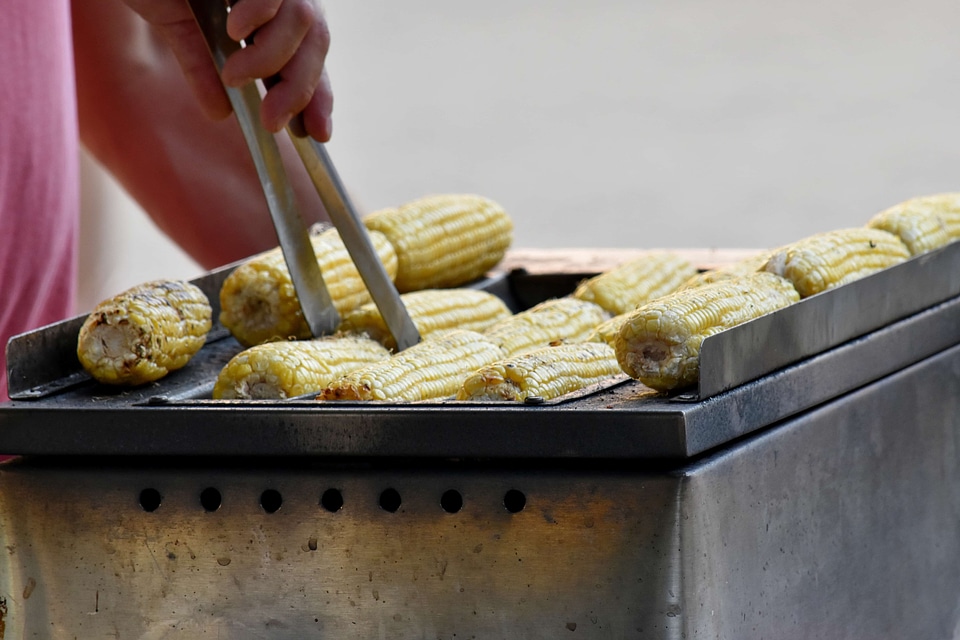 Corn food hand photo