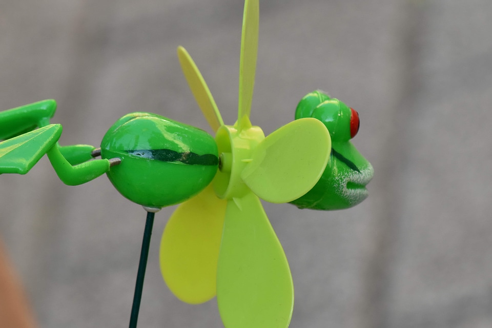 Detail frog object