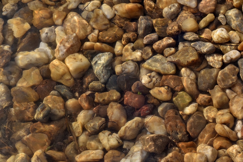 Riverbank transparent underwater