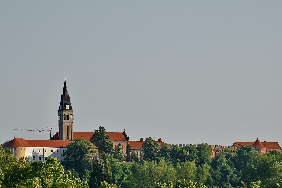 Castle church tower forest
