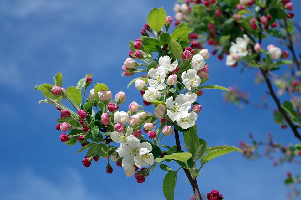 Spring summer sky