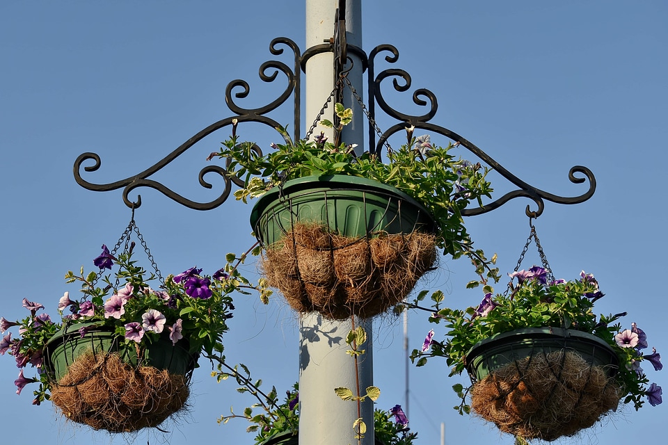 Cast Iron flowerpot metal