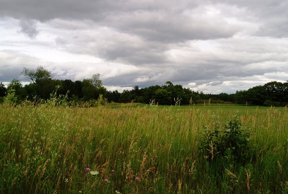 Wilderness scenery natural photo