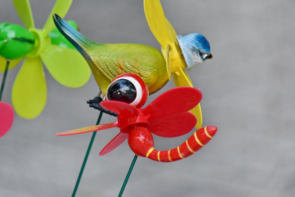 Bird dragonfly plastic