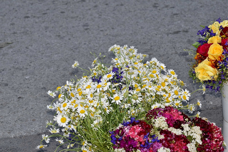 Bouquet bucket chamomile