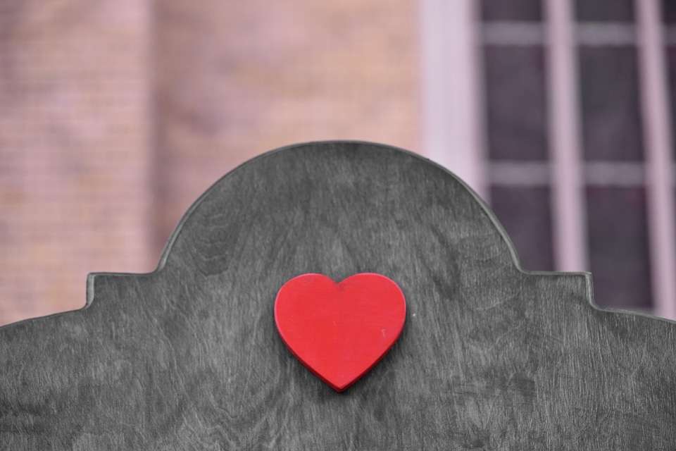 Heart romance love