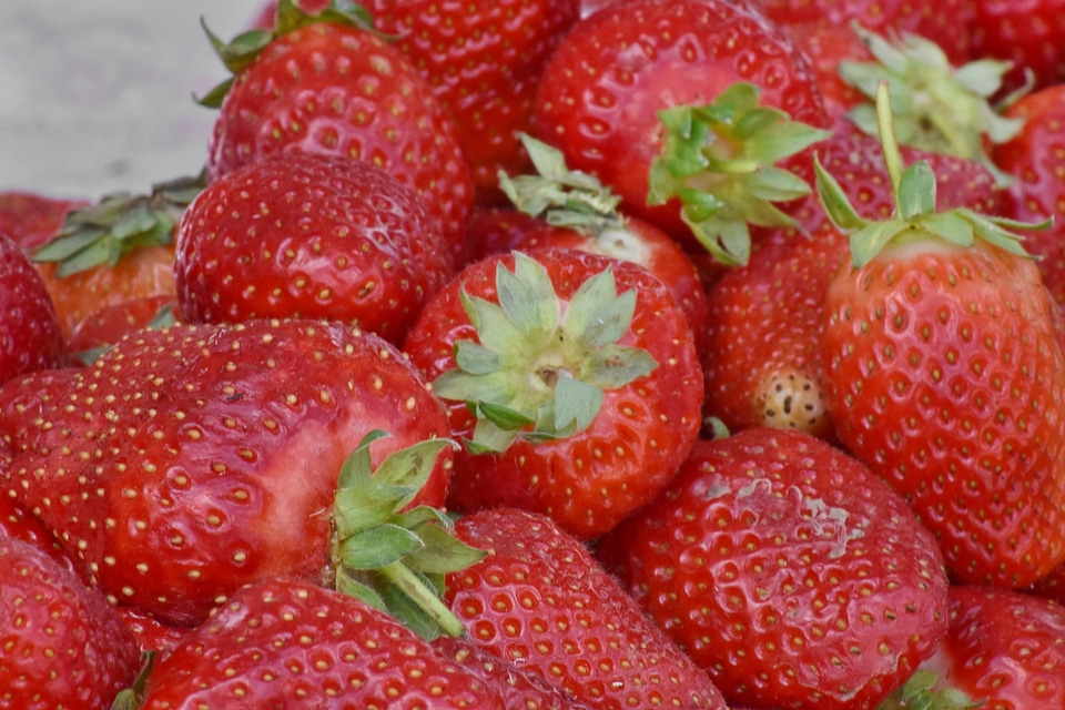Agriculture strawberry berry