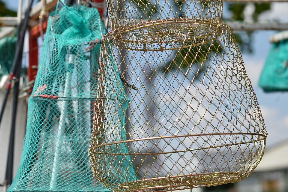 Cage fishing gear metal