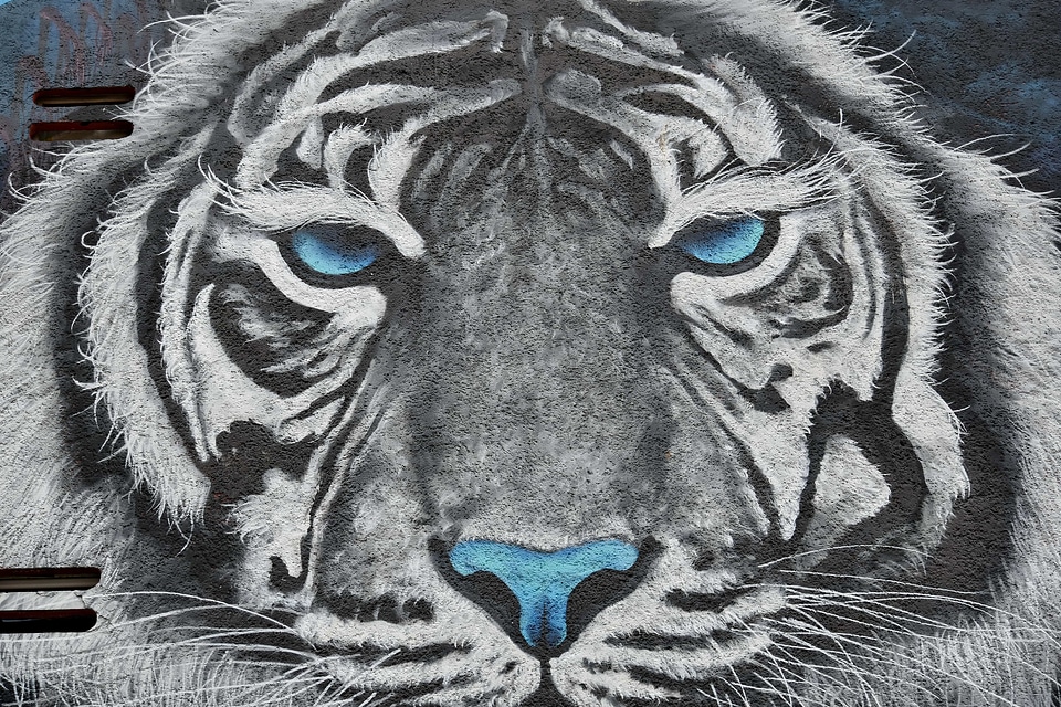 Graffiti wall animal