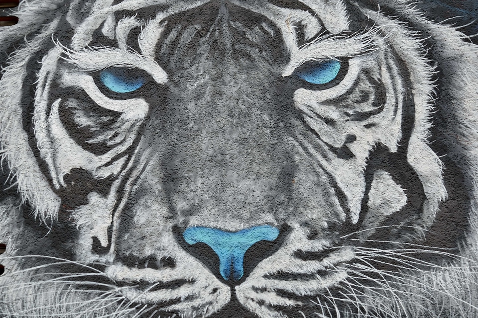 Graffiti tiger decoration