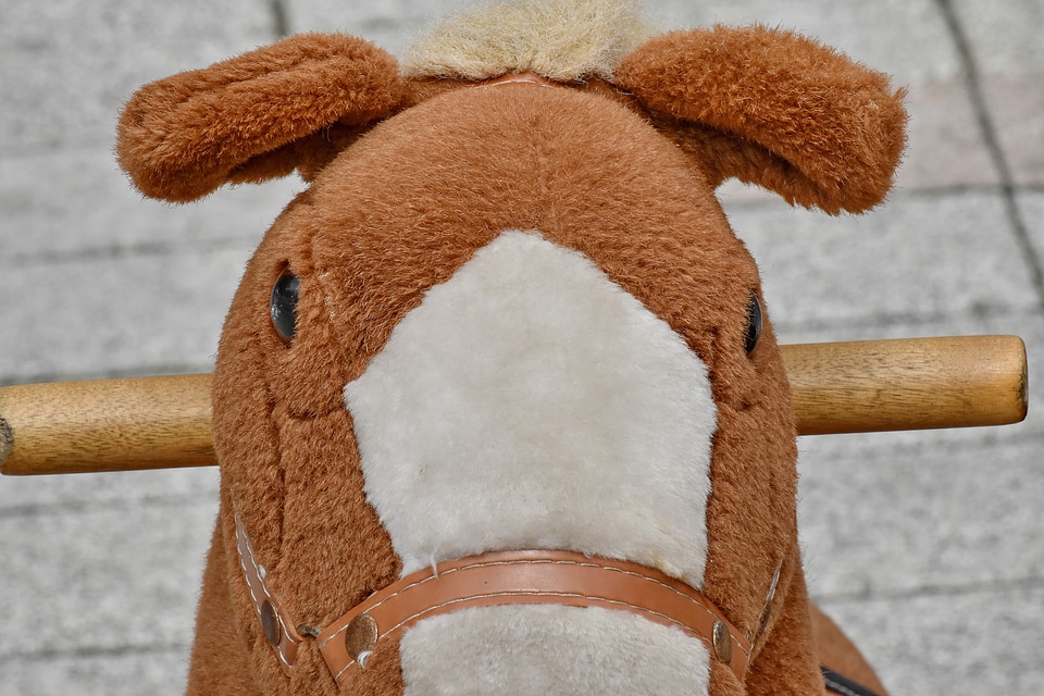 Detail funny horse
