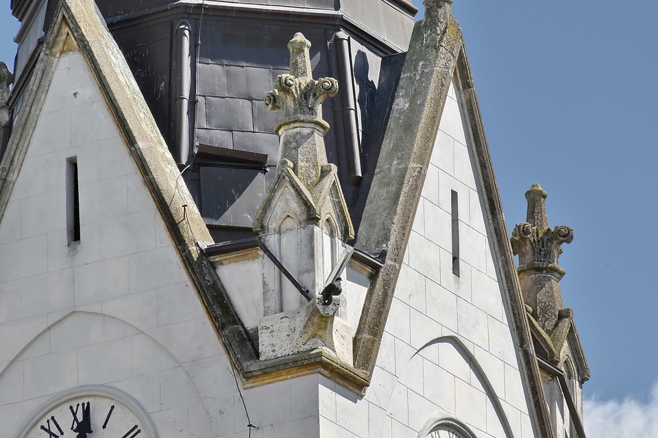 Bird church tower facade