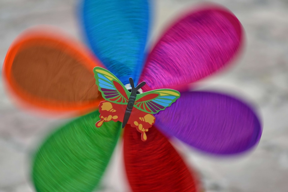 Butterfly colorful toy