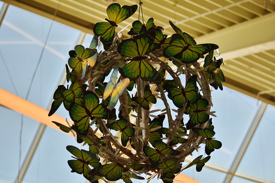 Butterfly decoration interior decoration