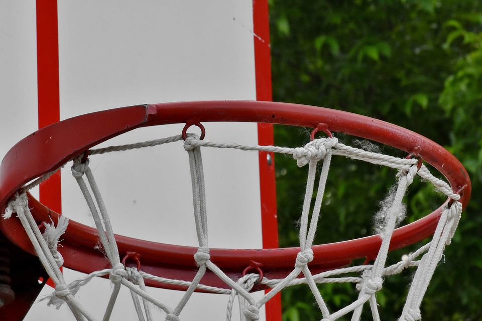Web basket recreation