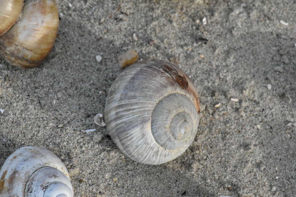 Sand beach seashore