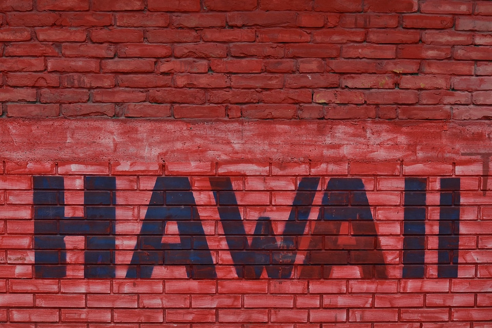 Bricks hawaii red