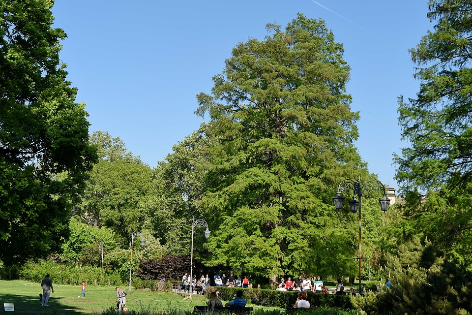 Crowd garden spring time
