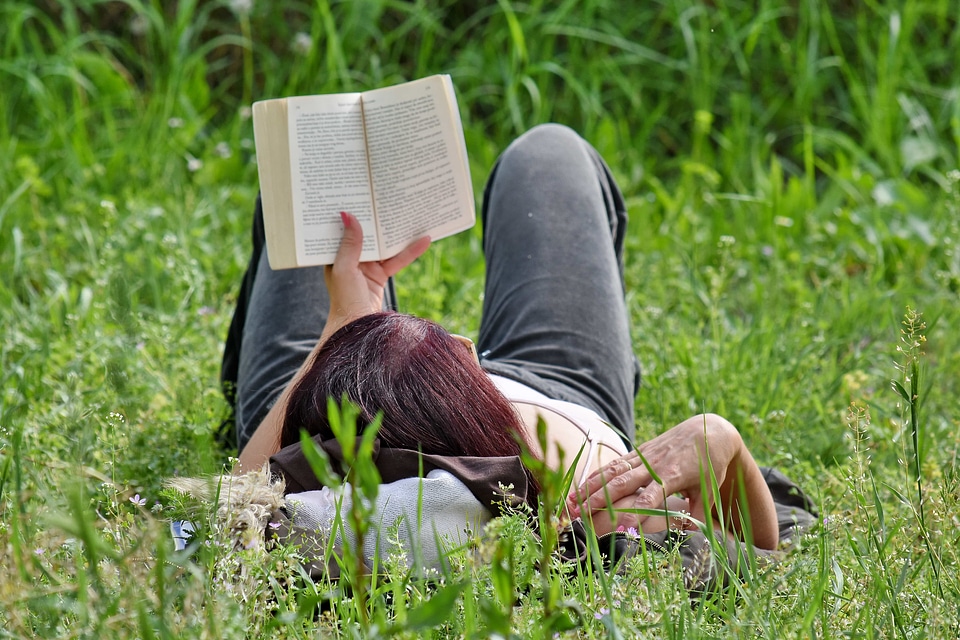 Book grass reading photo