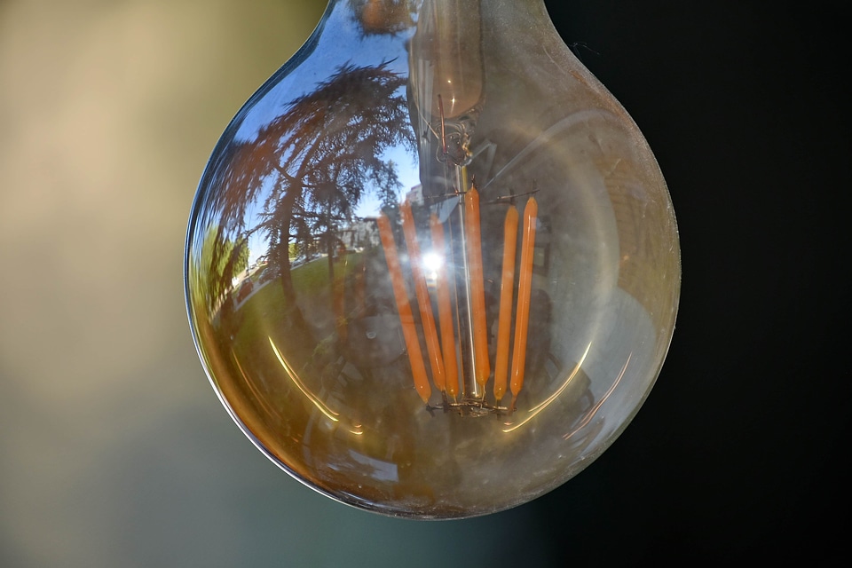 Black And White light bulb transparent