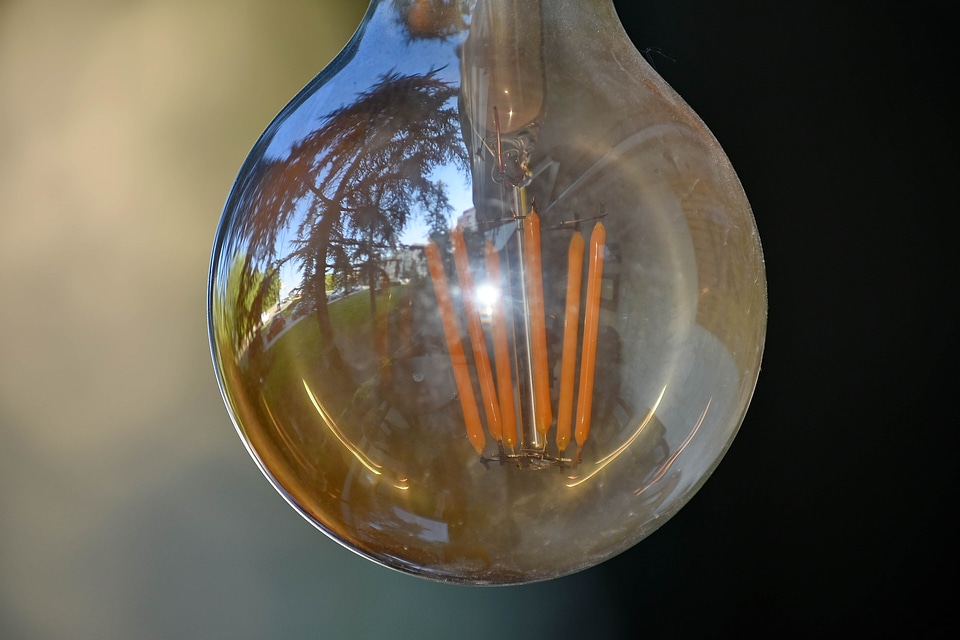 Black And White light bulb transparent photo