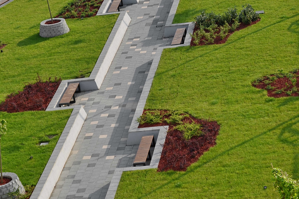 Park urban area lawn